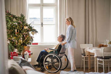 Poster - A senior woman in wheelchair with a health visitor at home at Christmas time.