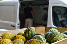 Supply Of Melons To The Grocery Store