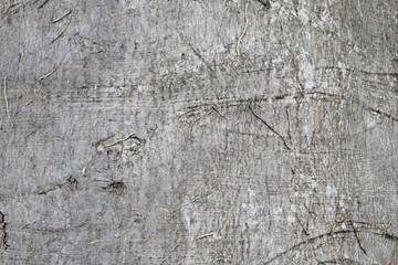exclusive natural background. bark of a thuja with unique pattern and roots of lianas.