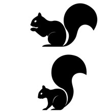 Squirrel Icon, Logo On White Background