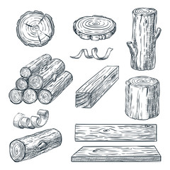 Wood logs, trunk and planks, vector sketch illustration. Hand drawn wooden materials. Firewood set