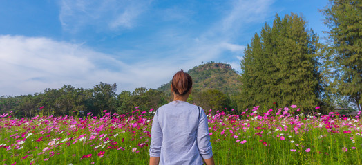 Wall Mural - Asian woman standing and looking at field cosmos flowers with mountain and blue sky
