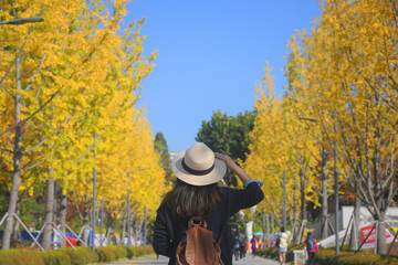Wall Mural - traveling at yonsei university during autumn in seoul, south korea.