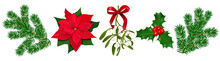 Set With Poinsettia, Holly Berry, Mistletoe With Berries And Red Bow, Fir Branches