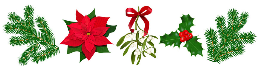 Set with Poinsettia, Holly berry, Mistletoe with berries and red bow, fir branches