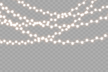 Wall Mural - christmas lights isolated on transparent background. vector illustration