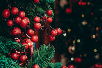 big ripe red berries on fir tree branches and sparkling lights decor for christmas and new year cele