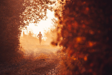 Wall Mural - Man running in orange autumn misty nature