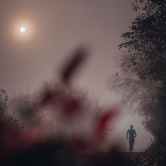 Wall Mural - Morning run in nature