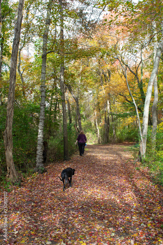 Dog on Trail with Fall Foliage © Jonathan