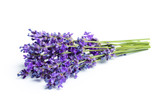 Fototapeta Lawenda - Lavender flowers on white background