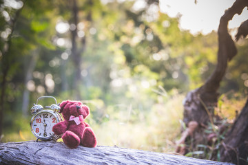 Wall Mural - Teddy Bear Doll and Retro Alarm Clock with tone