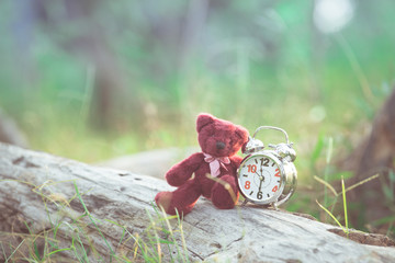 Wall Mural - Teddy Bear Doll and Retro Alarm Clock with tone