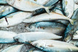 © ZWDQ - Short mackerel on market In Thailand. There is a simple and delicious way to cooking short mackerel.