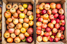 Wooden Crate Box Full Of Fresh Red And Green Apples