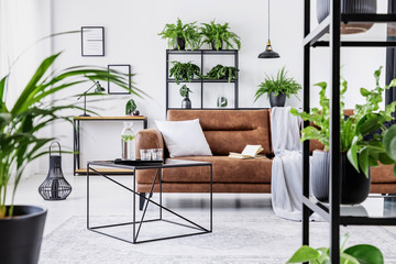 Wall Mural - Urban jungle in modern living room interior with big comfortable leather couch and coffee table.