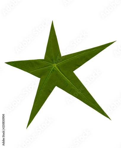 Stern Aus Grünem Blatt Buy This Stock Photo And Explore