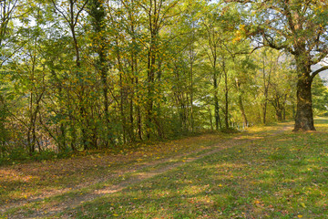 Sentiero attraverso il fiume golenale in ottobre