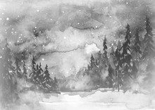 Watercolor Painting, Illustration, Greeting Card. Fog Forest, Suburban Landscape, Silhouettes Of Fir Trees, Pines, Trees And Bushes, The Night Sky With Stars. Black, White Color, Monochrome.