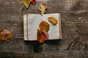 Wall Mural - flat lay with fallen autumn leaves and blank notebook on wooden surface