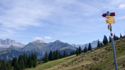 Poster - green valley and mountain landscape in the Alps of Switzerland with jagged mountain peaks and forest and a yellow hiking trail marker in the foreground