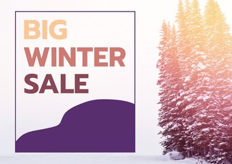 Poster - Winter Sale colored in yellow, orange and purple, firs in the