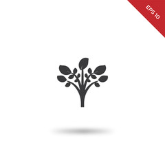 Poster - Leaves vector icon