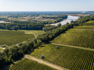 Aerial view Bordeaux Vineyard at sunrise, Entre deux mers, Langoiran, Gironde