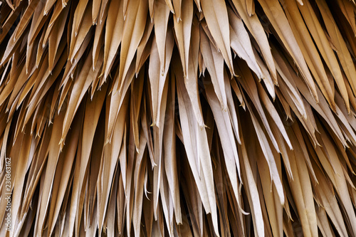 Fotografie, Obraz Close up dried brown leaves tree. Abstract nature background.