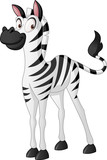 Fototapeta  - Cartoon cute zebra. Vector illustration of funny happy animal.