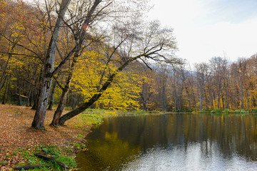  Colorful autumn landscape with lake. Armenia