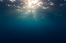 Underwater Sunlight Scene