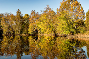 Wall Mural - a beautiful autumn day on the lake.