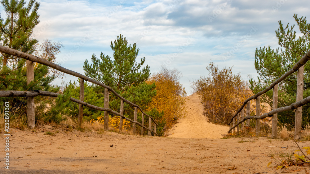 Empty pathway with fence to the wild beach on a cloudy autumn day in Gdansk Stogi. - obrazy, fototapety, plakaty 