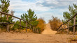 Empty pathway with fence to the wild beach on a cloudy autumn day in Gdansk Stogi.