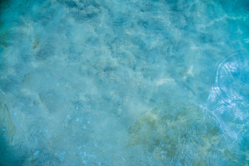 the background is a blue surface of sea water