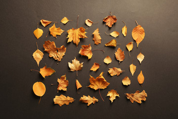 Flat lay composition with autumn leaves on dark background