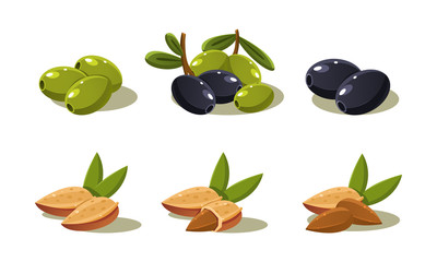 Sticker - Fresh olives and almond nut, vegetarian healthy organic product set vector Illustration on a white background