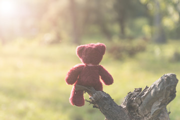 Wall Mural - teddy bear sitting lonely on ruins wood with tone