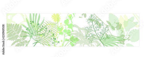 background with green grass and flowers