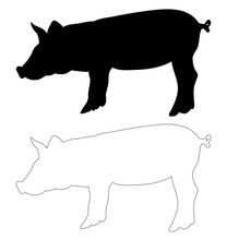 Vector, Isolated Silhouette Of A Pig, Outlines Of A Pig