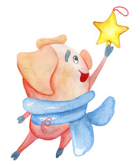 Wall Mural - Cute Christmas pig with star Watercolor illustration