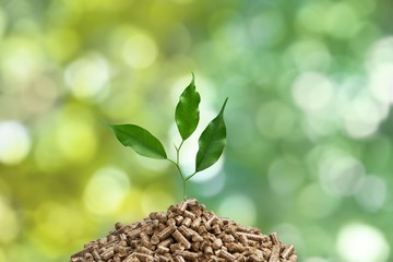 Poster - Growing plant tree  on background