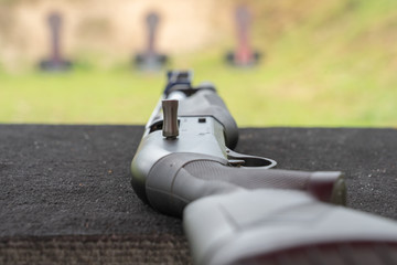 Wall Mural - shotgun shooting range