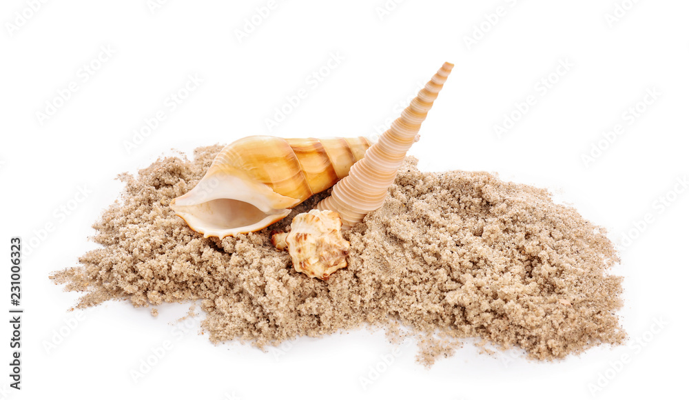 Seashells and sand on white background