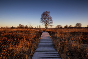 Frozen boardwalk