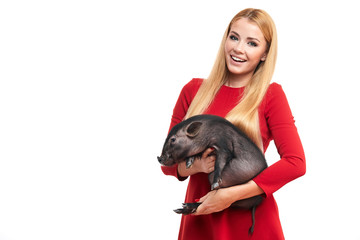 Little black piggy in hands of attractive young female model with long blonde hair dressed in red cloth and Christmas hat posing as Chinese New Year Symbol over white studio background.