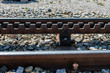Close-up of a railroad track with a rack.