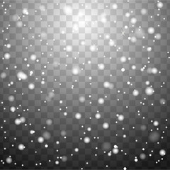 Wall Mural - Glitter particles background effect.Falling Christmas Shining transparent beautiful snow isolated on transparent background. Snowflakes, snowfall. snowflake vector. Vector illustration.