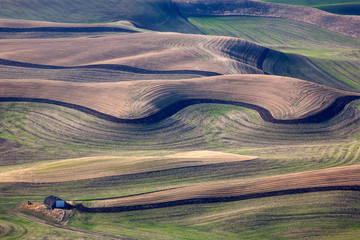 Wall Mural - landscape in the field